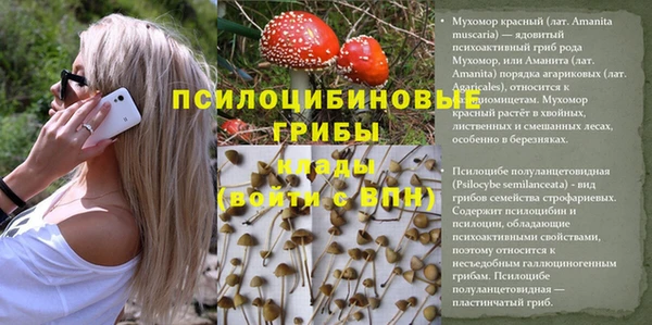 прущая мука Балахна